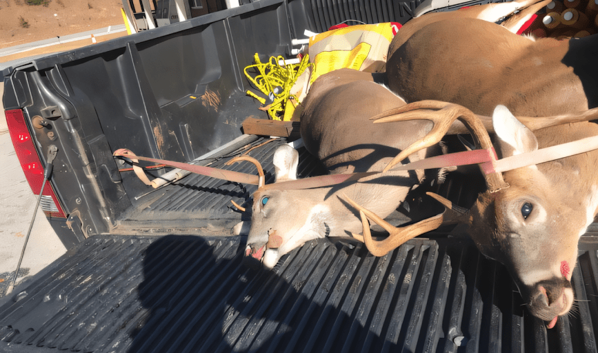 DEER HUNTING TRIPS
