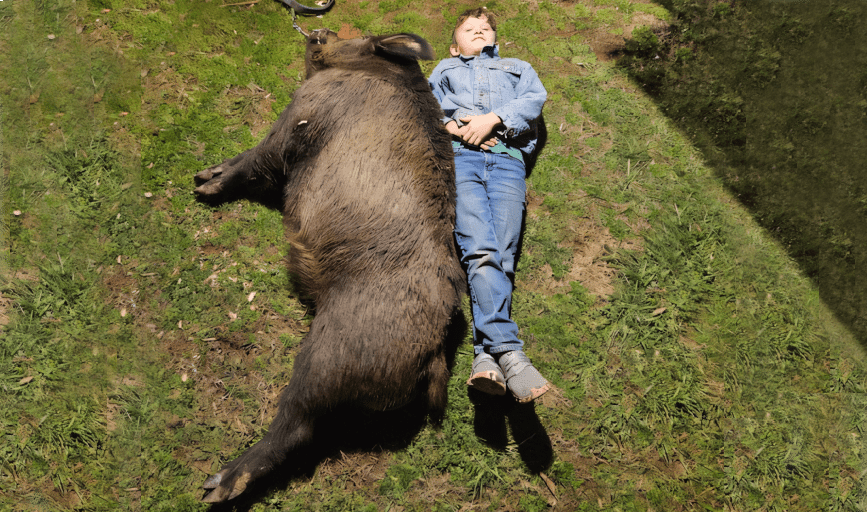 HOG HUNTING TRIPS